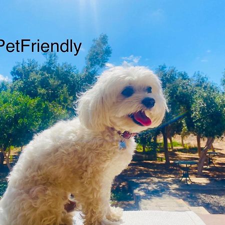Bungalow Sequero #Pet Friendly Tuineje Εξωτερικό φωτογραφία