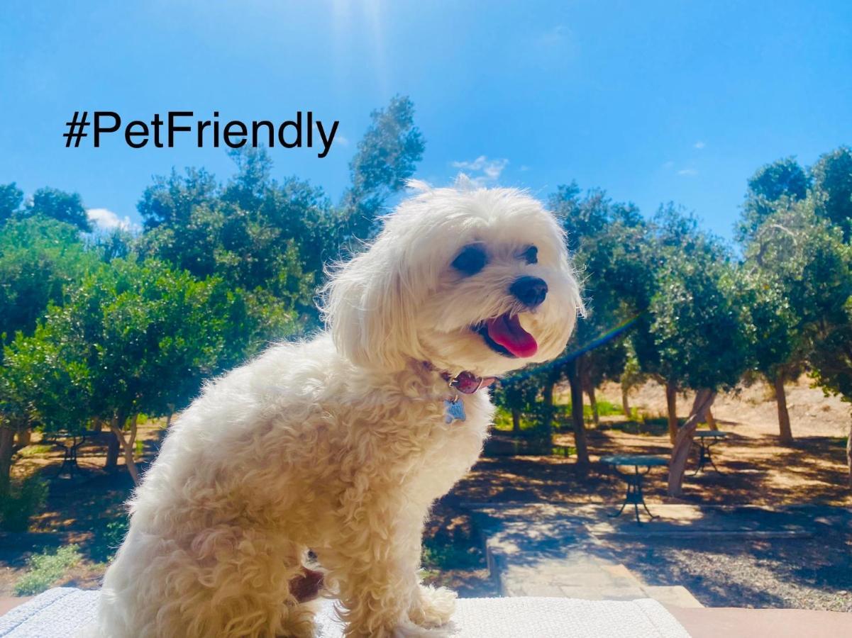Bungalow Sequero #Pet Friendly Tuineje Εξωτερικό φωτογραφία
